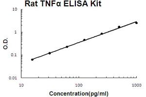 Rat TNF alpha Accusignal ELISA Kit Rat TNF alpha AccuSignal ELISA Kit standard curve. (TNF alpha ELISA Kit)