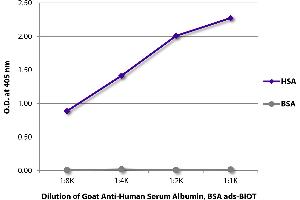 ELISA plate was coated with purified human serum albumin and bovine serum albumin. (Albumin antibody)