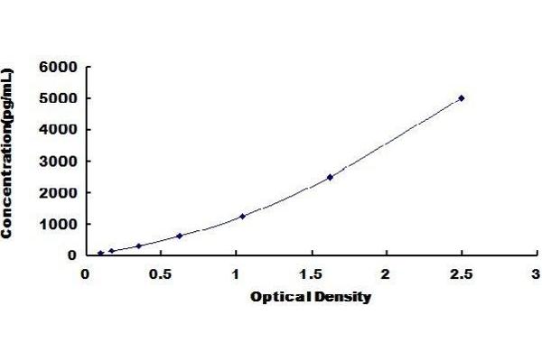 INSL6 ELISA Kit