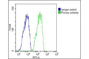 Overlay histogram showing HepG2 cells stained with (ABIN6243635 and ABIN6578785)(green line). (Chemerin antibody  (AA 89-133))