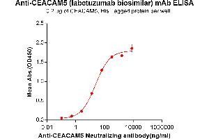 ELISA plate pre-coated by 2 μg/mL (100 μL/well) Human CEA, His tagged protein ABIN6961129, ABIN7042287 and ABIN7042288 can bind Anti-CEA Neutralizing antibody(ABIN7093054 and ABIN7272584) in a linear range of 2. (Recombinant CEACAM5 (Labetuzumab Biosimilar) antibody)