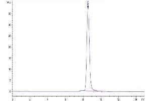 Size-exclusion chromatography-High Pressure Liquid Chromatography (SEC-HPLC) image for CD3E & CD3G protein (His tag) (ABIN7274144)