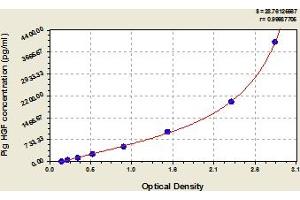 Typical Standard Curve (HGF ELISA Kit)