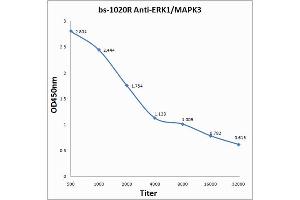 Antigen: 0. (ERK1 antibody  (AA 101-200))