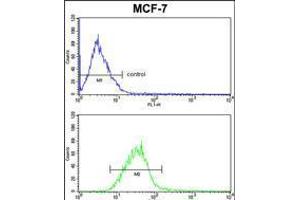 PIN1 Antibody FC analysis of MCF-7 cells (bottom histogram) compared to a negative control cell (top histogram). (PIN1 antibody  (AA 30-56))