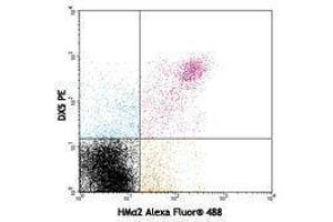 Flow Cytometry (FACS) image for anti-Integrin alpha 2 (ITGA2) antibody (Alexa Fluor 488) (ABIN2657448) (ITGA2 antibody  (Alexa Fluor 488))