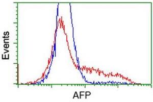 Image no. 1 for anti-alpha-Fetoprotein (AFP) antibody (ABIN1496486) (alpha Fetoprotein antibody)