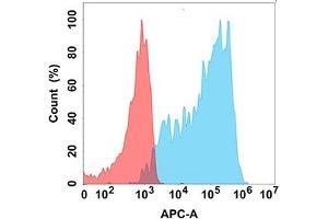 Flow cytometry analysis with Anti-C (DM208) on Expi293 cells transfected with human C (Blue histogram) or Expi293 transfected with irrelevant protein (Red histogram). (CXCR3 antibody)