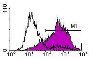 Image no. 1 for anti-Interleukin 2 Receptor, alpha (IL2RA) antibody (FITC) (ABIN135172) (CD25 antibody  (FITC))