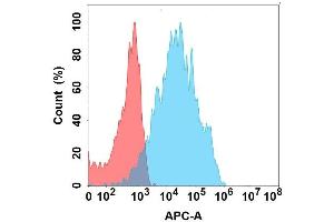 Flow cytometry analysis with Anti-PRLR on Expi293 cells transfected with human PRLR (Blue histogram) or Expi293 transfected with irrelevant protein (Red histogram). (Prolactin Receptor antibody)