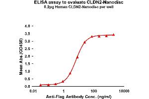 Elisa plates were pre-coated with Flag Tag C-Nanodisc (0. (Claudin 2 Protein (CLDN2))
