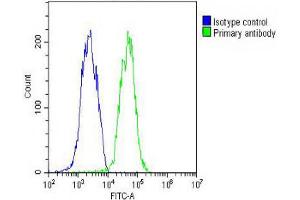 Overlay histogram showing HepG2 cells stained with Antibody (green line). (ID1 antibody  (AA 66-93))