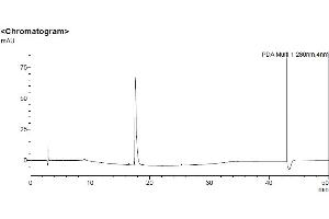 High Pressure Liquid Chromatography (HPLC) image for Human Serum Albumin (HSA) protein (ABIN7539880) (HSA Protein)