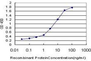 ELISA image for anti-Nucleolar and Coiled-Body Phosphoprotein 1 (NOLC1) (AA 590-700) antibody (ABIN598599) (NOLC1 antibody  (AA 590-700))