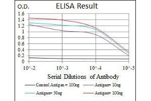 Black line: Control Antigen (100 ng), Purple line: Antigen(10 ng), Blue line: Antigen (50 ng), Red line: Antigen (100 ng), (PRKACG antibody)