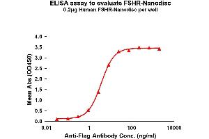 Elisa plates were pre-coated with Flag Tag FSHR-Nanodisc (0. (FSHR Protein)