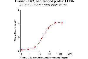 ELISA image for anti-CD27 (Varlilumab Biosimilar) antibody (ABIN6964431)