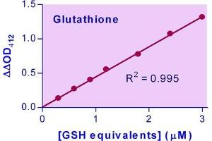 Biochemical Assay (BCA) image for GSH/GSSG Assay Kit (ABIN1000314) (GSH/GSSG Assay Kit)