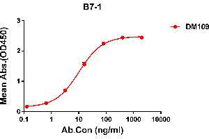 ELISA plate pre-coated by 2 μg/mL (100 μL/well) Human B7-1 protein, hFc tagged protein ABIN6961158, ABIN7042345 and ABIN7042346 can bind Rabbit anti-B7-1 monoclonal antibody  (clone: DM109) in a linear range of 0. (CD80 antibody  (AA 35-242))