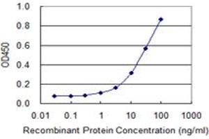 Detection limit for recombinant GST tagged CST3 is 0. (CST3 antibody  (AA 28-127))