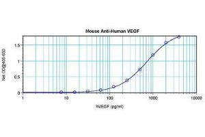 Image no. 1 for anti-Vascular Endothelial Growth Factor A (VEGFA) antibody (ABIN465162) (VEGFA antibody)