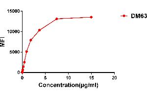 Flow Cytometry (FACS) image for anti-CD28 (CD28) (AA 19-152) antibody (ABIN6964060)