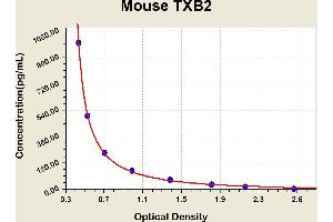 Diagramm of the ELISA kit to detect Mouse TXB2with the optical density on the x-axis and the concentration on the y-axis. (Thromboxane B2 ELISA Kit)