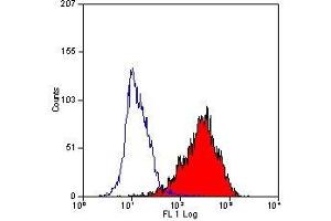 Flow Cytometry (FACS) image for anti-CD90 (THY1) antibody (ABIN2472788) (CD90 antibody)