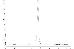 The purity of Human GARP(Y137H&S138G&G139N)&Latent TGF Beta Complex is greater than 95 % as determined by SEC-HPLC. (GARP & Latent TGF beta 1 Complex (Gly139Asn-Mutant), (Ser138Gly-Mutant), (Tyr137His-Mutant) protein (His-Avi Tag))