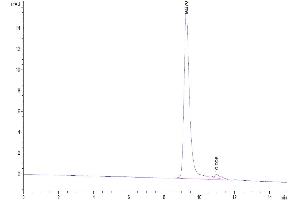 Size-exclusion chromatography-High Pressure Liquid Chromatography (SEC-HPLC) image for Tumor Necrosis Factor Receptor Superfamily, Member 13C (TNFRSF13C) protein (His-Avi Tag,Biotin) (ABIN7273915)