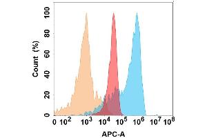 JAM-A protein is highly expressed on the surface of Expi293 cell membrane. (F11R antibody)