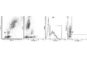 Image no. 1 for anti-CD38 antibody (APC) (ABIN1106333) (CD38 antibody  (APC))