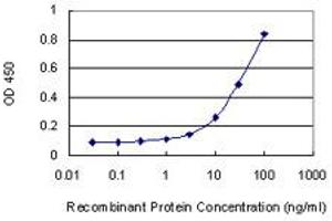 Detection limit for recombinant GST tagged PRKX is 1 ng/ml as a capture antibody. (PRKX antibody  (AA 269-358))