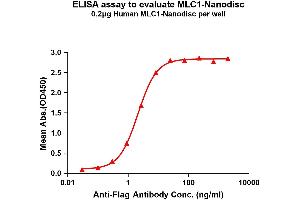Elisa plates were pre-coated with Flag Tag -Nanodisc (0. (MLC1 Protein)