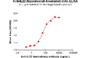 ELISA plate pre-coated by 2 μg/mL (100 μL/well) Human IL22 Protein, hFc Tag (ABIN7092806, ABIN7272420 and ABIN7272421) can bind Anti-IL22 Neutralizing antibody (ABIN7478010 and ABIN7490952) in a linear range of 2. (Recombinant IL22 (Fezakinumab Biosimilar) antibody)