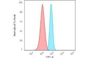 Flow Cytometric Analysis of HeLa cells using Spectrin beta III Rabbit Recombinant Monoclonal (SPTBN2/2894R) followed by Goat anti-rabbit IgG-CF488 (Blue); Isotype Control (Red). (Recombinant Spectrin, Beta, Non-erythrocytic 2 (SPTBN2) (AA 356-475) antibody)