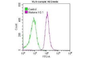 Flow Cytometry (FACS) image for anti-Histone Cluster 1, H3a (HIST1H3A) antibody (ABIN7127295)