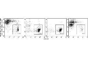 Flow Cytometry (FACS) image for Human CD8 T Lymphocyte Enrichment Set-DM (ABIN2690971) (Human CD8 T Lymphocyte Enrichment Set-DM)