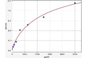 DUOX2 ELISA Kit