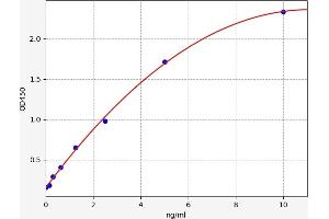 Typical standard curve (BNIP3L/NIX ELISA Kit)