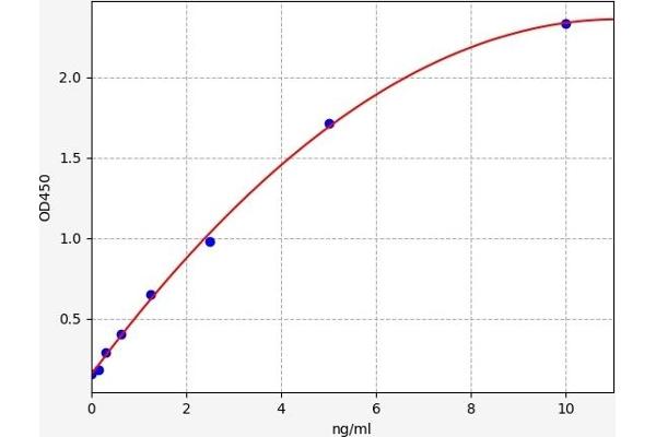 BNIP3L/NIX ELISA Kit