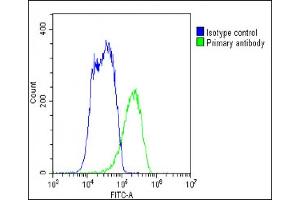 Flow Cytometry (FACS) image for anti-ATP-Binding Cassette, Sub-Family B (MDR/TAP), Member 5 (ABCB5) (AA 1-30), (N-Term) antibody (ABIN390068)