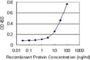 Detection limit for recombinant GST tagged UBE2M is 1 ng/ml as a capture antibody. (UBE2M antibody  (AA 1-183))