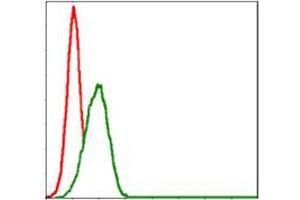 Flow Cytometry (FACS) image for anti-Myelin Basic Protein (MBP) antibody (ABIN969279)