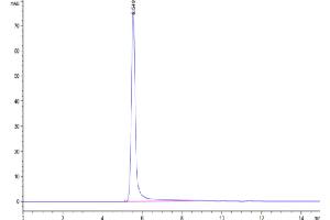 The purity of Human Envelop VLP Control is greater than 95 % as determined by SEC-HPLC. (Envelop VLP Control protein-VLP)