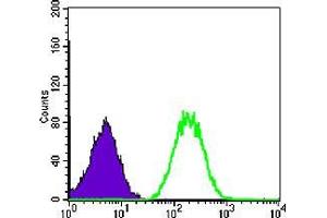 Flow Cytometry (FACS) image for anti-B-Cell Linker (BLNK) antibody (ABIN968984)