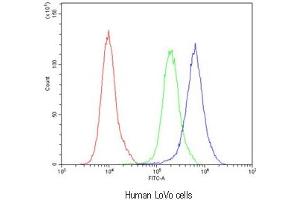 Flow cytometry testing of human LoVo cells with Bestrophin 1 antibody at 1ug/10^6 cells (blocked with goat sera) (Bestrophin 1 antibody)