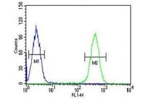 HDAC2 antibody flow cytometric analysis of K562 cells (right histogram) compared to a negative control (left histogram). (HDAC2 antibody  (AA 410-439))