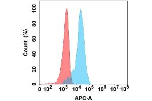 Flow cytometry analysis with Anti-GDNF on Expi293 cells transfected with human GDNF (Blue histogram) or Expi293 transfected with irrelevant protein (Red histogram). (GDNF antibody)