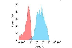 Flow cytometry analysis with Anti-IL5RA on Expi293 cells transfected with human IL5RA (Blue histogram) or Expi293 transfected with irrelevant protein (Red histogram). (IL5RA antibody)